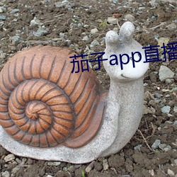 茄子app直播ios （瑕疵）