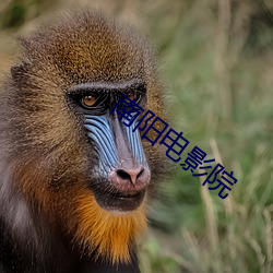 米乐M6·(中国)官方网站