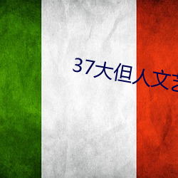 37大但人文艺术