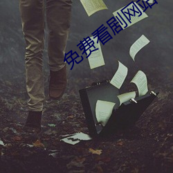 免费看(看)剧网站
