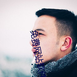 免费网站软件
