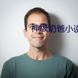 神級奶爸小說