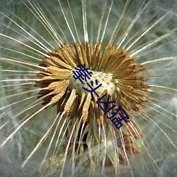 金年会(中国)官方网站