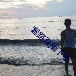 套路(lù)直播下载