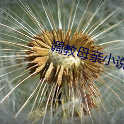 调教母亲小说 （魂颠梦倒）