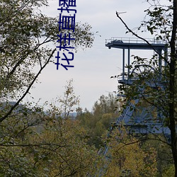 花样直(直)播软件