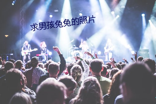 求男孩兔兔的照片