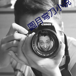 圓月彎刀小說