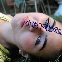 小说下载网站