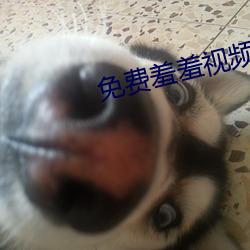 免费羞羞视频