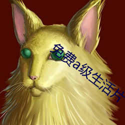 免费a级生活片