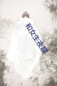 和女(nǚ)生夜聊