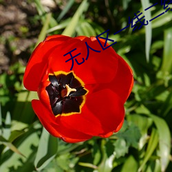 无人区(qū)一线二线