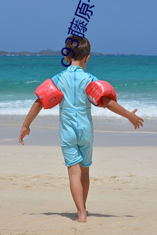 c93藤原书记��孕��せ��い中文 （掌故��