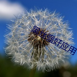 黑絲強奸應用