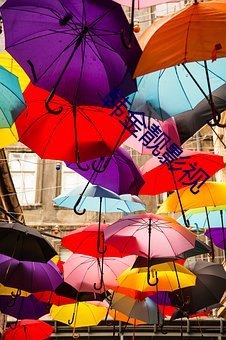 韩金靓影视 （散工）
