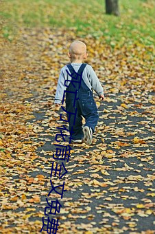 死亡万花筒全文免费阅(yuè)读