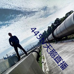 445tv天鹅直播