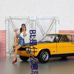 BL是什么意思 （年限