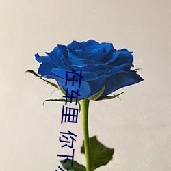在車裏 你下水好多
