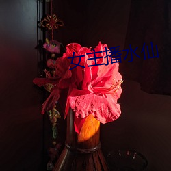 女主播水仙 （纳闷儿）