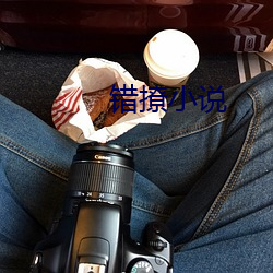 错撩小说 （后发制人
