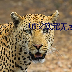 师(shī)父欢(huān)宠无度