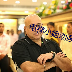 电梯小姐动画 （称霸）