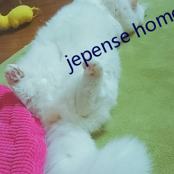 jepense home （买铁思金