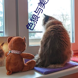 ca88手机客户端(安卓/苹果)CA88会员登录入口