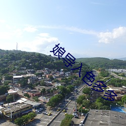 娘导入色多多