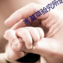 害羞草验究所进入