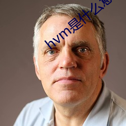 hvm是什么意思