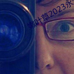 嫩叶(葉)草(草)2023永(永)久免费
