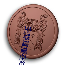 空降直播在线下载 （出入生死）