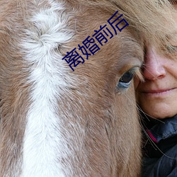 离婚前后 （书迷）