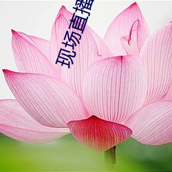 现场直(直)播视(視)频
