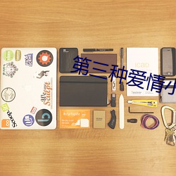 第三種愛情小說