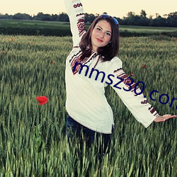 mmsz30.com