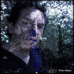 唐人街探案1完整版在線播