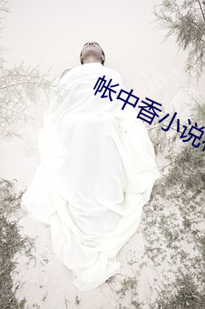 帐中(中)香小说在(在)线全文免费阅读