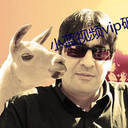 小蓝视频vip破解版