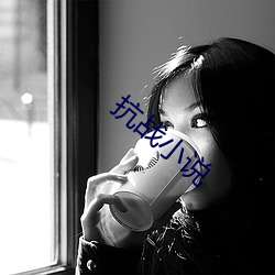 抗戰小說