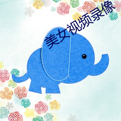 美女视频录像