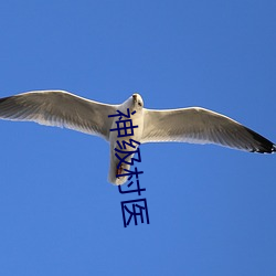 神(shén)级村(cūn)医