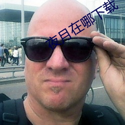 夜月在哪下载