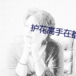 護花高手在都市