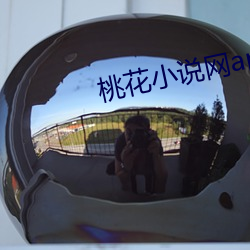 桃花小(xiǎo)说(shuō)网app
