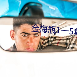 金梅瓶1一5集在线观看