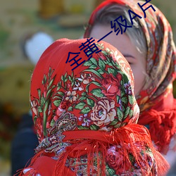 全黄一级A片